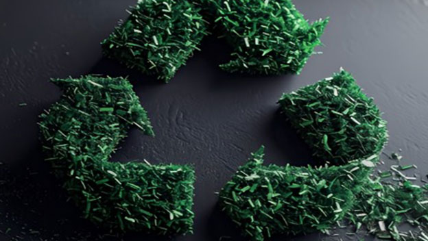 گواهینامه سبز